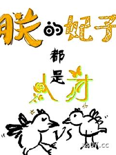 朕的妃子都是人才