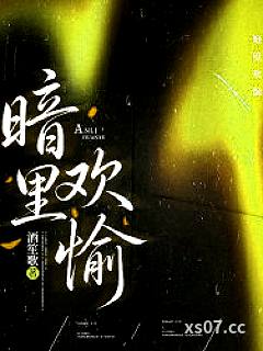 暗里欢愉小说封面-酒笙歌-都市