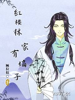 红楼之林家有嫡子小说封面-顾拉拉-其他