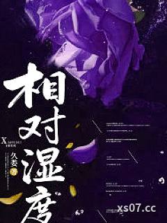 相对湿度小说封面-久娄-都市