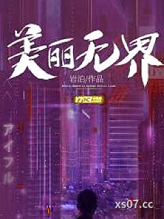 美丽无界小说封面-岩泊-都市