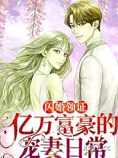闪婚领证，亿万富豪的宠妻日常小说封面-胡杨三三-言情