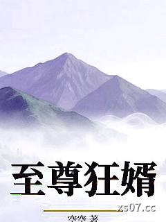 至尊狂婿小说封面-空空-都市