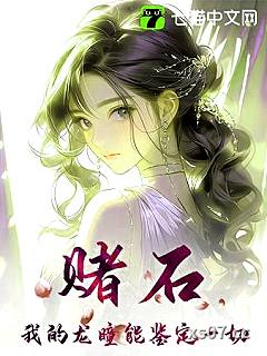 赌石，我的龙瞳能鉴定一切！