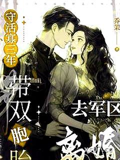 守活寡三年，带双胞胎去军区离婚