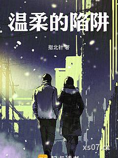 温柔的陷阱小说封面-指北针-其他