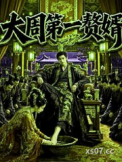 大周第一赘婿