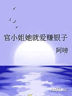 官小姐她就爱赚银子