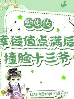甄嬛传：幸运值点满后撞脸十三爷小说封面-红烧肉里的姜-轻小说