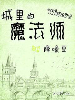 城里的魔法师小说封面-降噪豆-都市