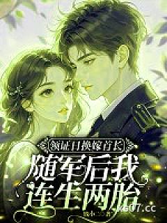 领证日换嫁首长，随军后我连生两胎