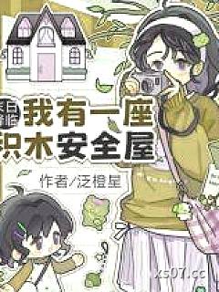 末日降临：我有一座积木安全屋