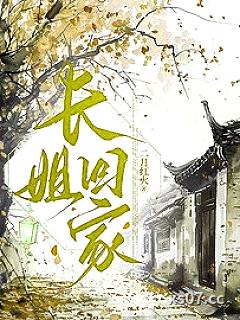长姐回家
