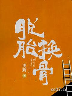 脱胎换骨小说封面-更野-都市