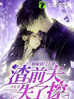 二婚嫁豪门大佬，渣前夫失了控小说封面-齐夏-言情
