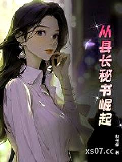从县长秘书崛起小说封面-林书豪-都市