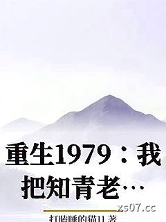 重生1979：我把知青老婆宠上天小说封面-打瞌睡的猫11-都市