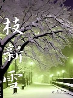 枝新雪小说封面-神闪-都市