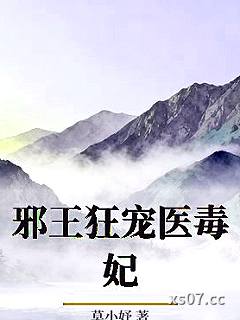 邪王狂宠医毒妃