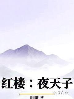 红楼：夜天子
