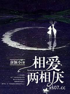 相爱两相厌小说封面-唐颖小-都市