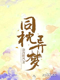 同枕异梦小说封面-沧海随风-都市