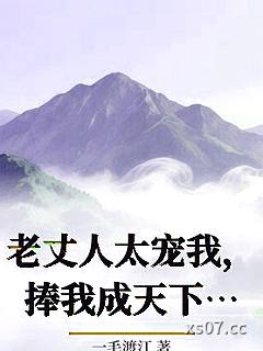 老丈人太宠我，捧我成天下第一婿小说封面-一毛渡江-都市
