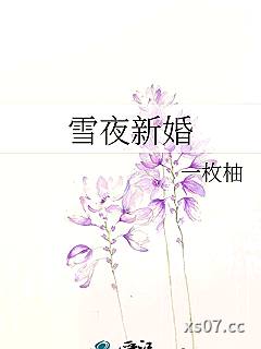 雪夜新婚