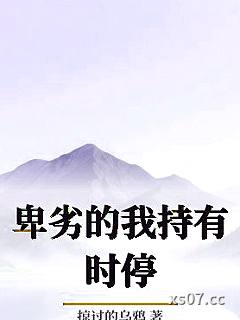 卑劣的我持有时停