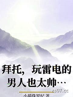 拜托，玩雷电的男人也太帅了吧小说封面-小猫侏罗纪-言情