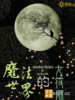 魔法世界的女符师