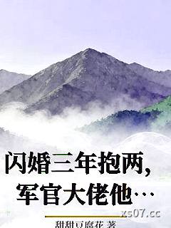 闪婚三年抱两，军官大佬他超爱！小说封面-甜甜豆腐花-言情