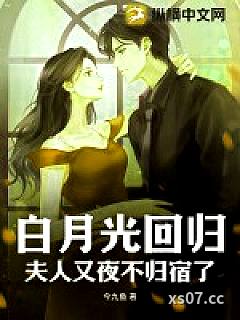 白月光回归，夫人又夜不归宿了小说封面-今九鱼-都市