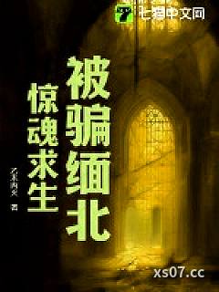 被骗缅北，惊魂求生小说封面-乙木丙火-都市