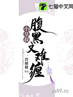 小皇叔腹黑又难缠小说封面-一碧榶榶-言情