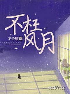 不枉风月小说封面-不予辰-言情