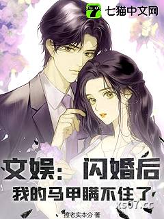 文娱：闪婚后，我的马甲瞒不住了小说封面-擦老实本分-都市