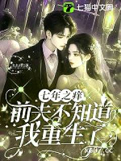 七年之痒，前夫不知道我重生了小说封面-九九月-都市