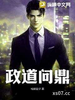 政道问鼎小说封面-琼崖浪子-都市