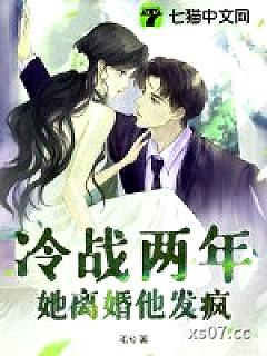 冷战两年，她离婚他发疯小说封面-毛兮-都市
