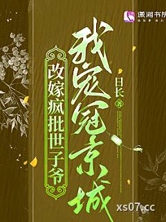改嫁疯批世子爷，我宠冠京城