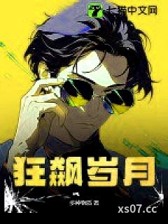 狂飙岁月小说封面-多种物质-都市