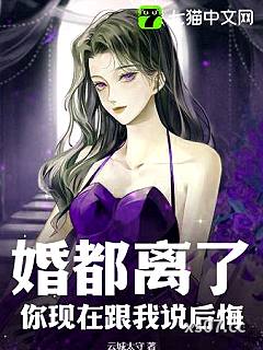 婚都离了，你现在跟我说后悔？小说封面-云城太守-都市
