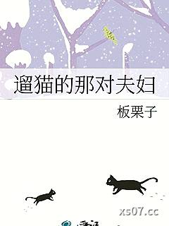 遛猫的那对夫妇