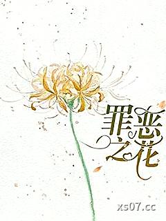 弃婿归来小说封面-发飙的天空-都市