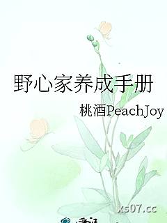 野心家养成手册小说封面-桃酒PeachJoy-奇幻