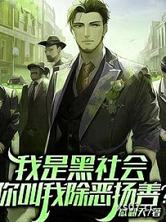 我是黑社会，你叫我除恶扬善？小说封面-咸翻天-都市