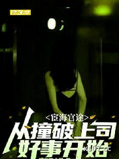 宦海官途：从撞破上司好事开始小说封面-爆发的山羊-都市