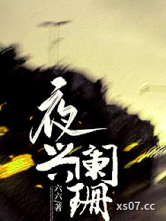 夜兴阑珊小说封面-六六-都市