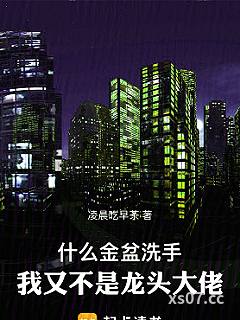 什么金盆洗手，我又不是龙头大佬